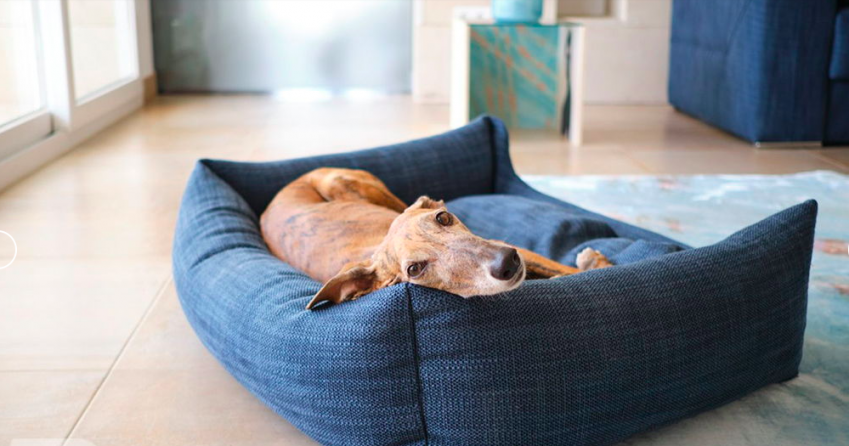 5338ce0693da36ef754580faf3df3f0e3a674948