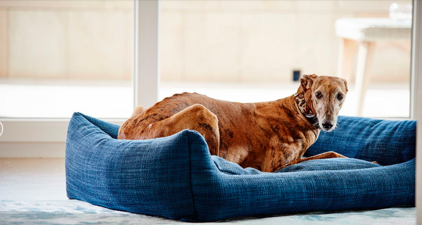 6b8f6f0e0125850e4f823f39845edb10fda34f2d